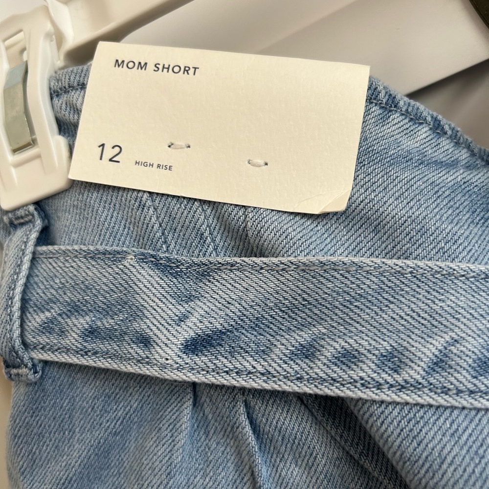 American Eagle Mom Short